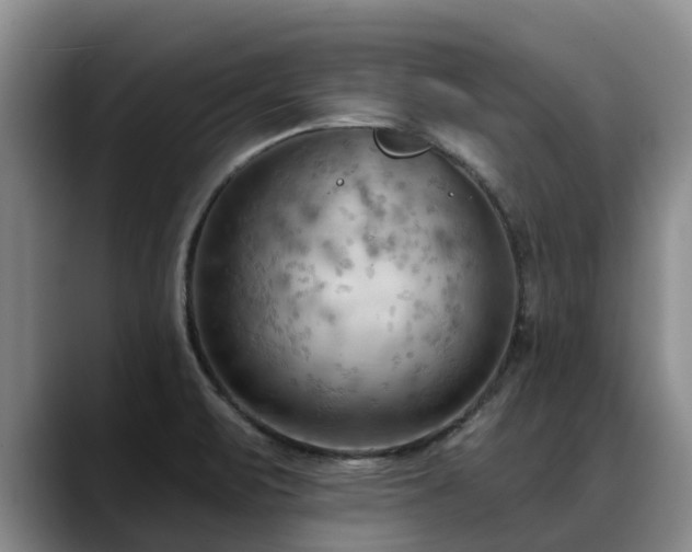 X0000088491471200705291638