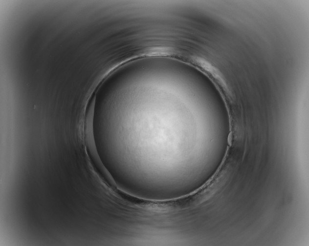X0000088491473200705291638