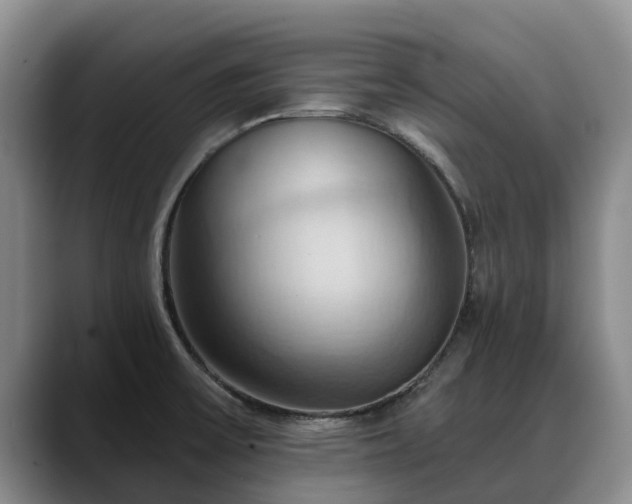 X0000088491475200705291637