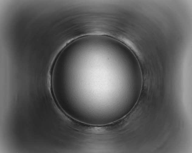 X0000088491476200705291637