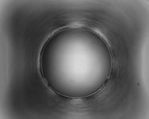 X0000088491477200705291637