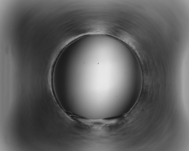 X0000088491480200705291637