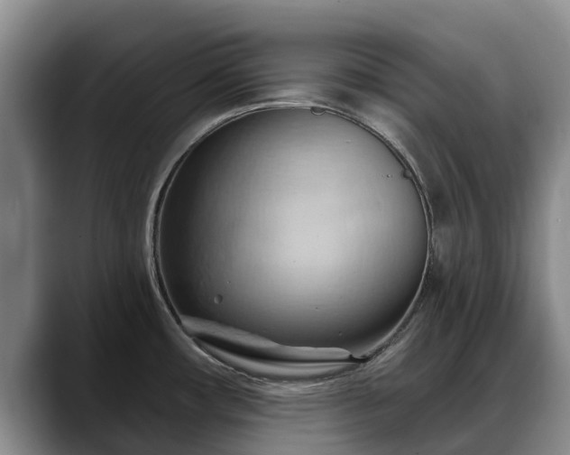 X0000088491482200705291637