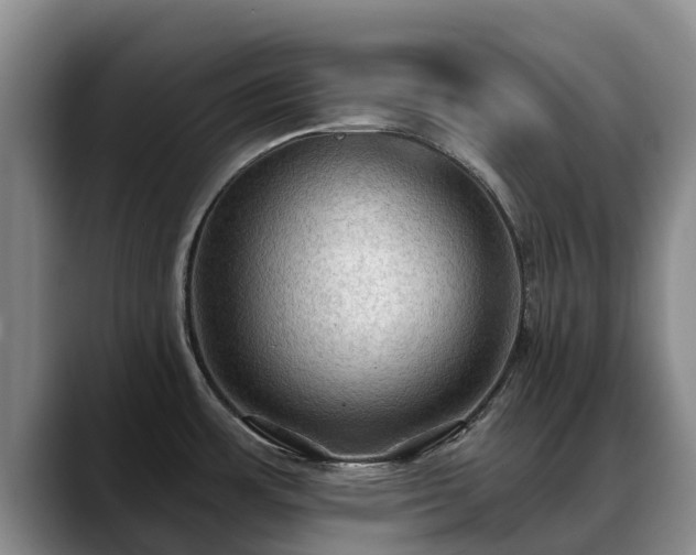 X0000088491483200705291637