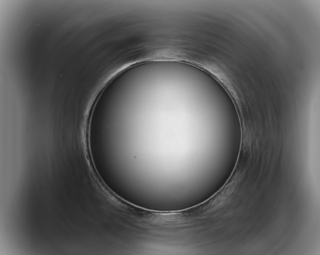 X0000088491486200705291637