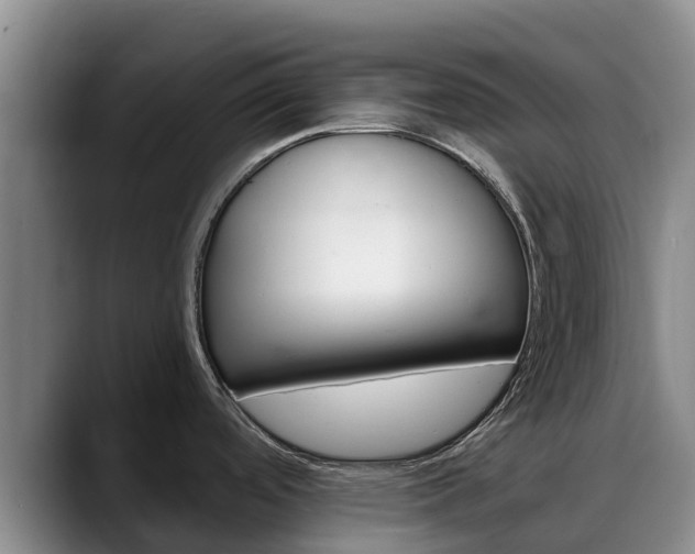 X0000088491488200705291637