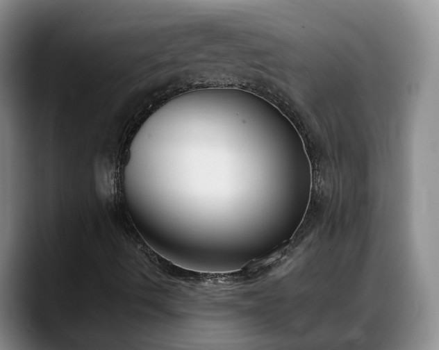 X0000088491490200705291637