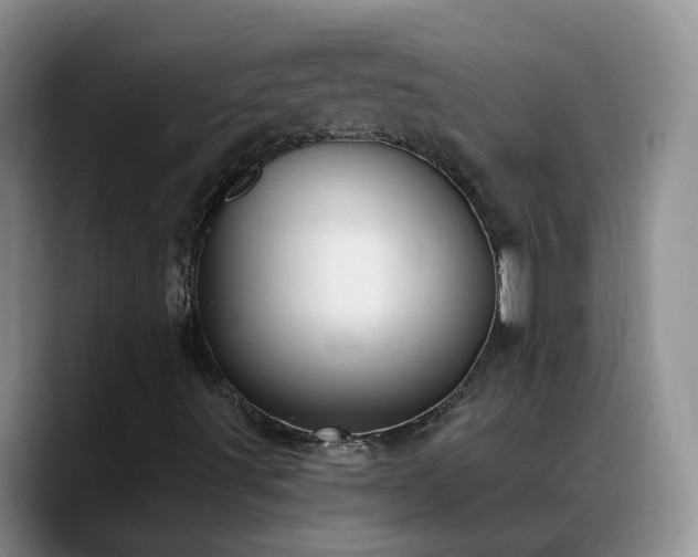 X0000088491491200705291637