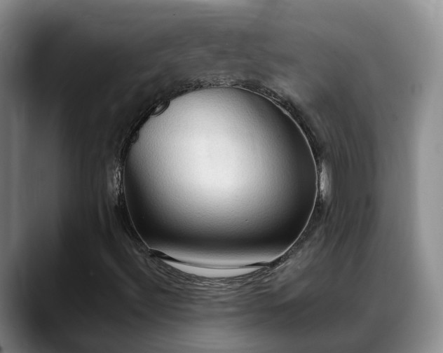 X0000088491492200705291637