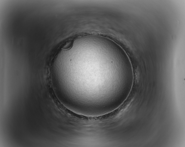 X0000088491494200705291637