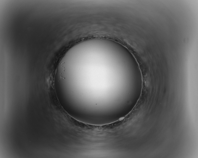 X0000088491495200705291637