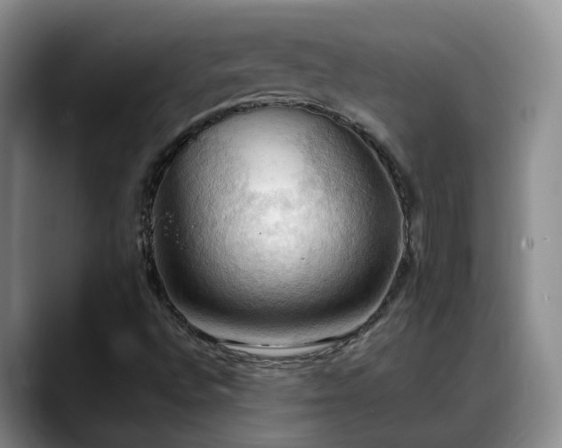 X0000088491496200705291637