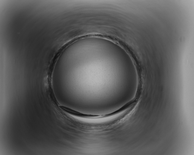 X0000088491497200705291637
