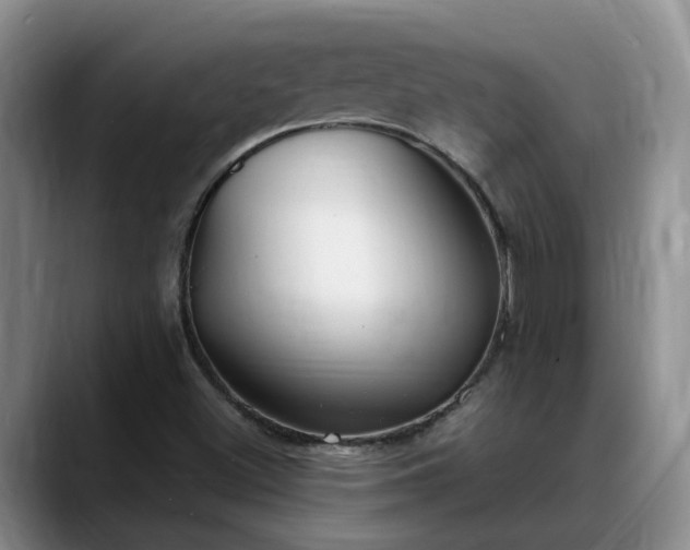 X0000088491500200705291637