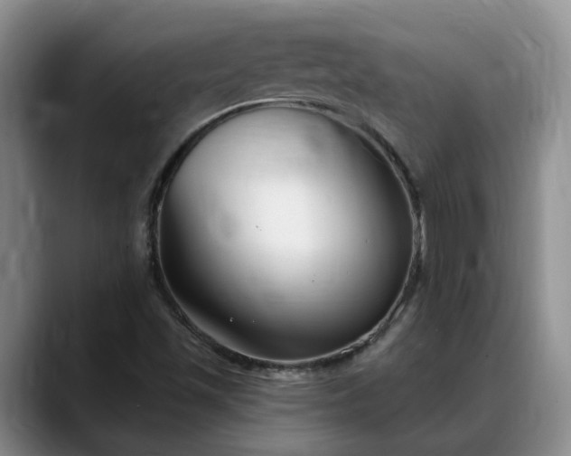 X0000088491501200705291637