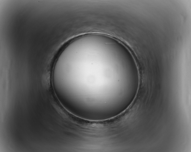 X0000088491503200705291637