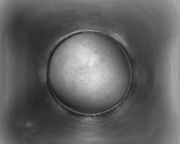 X0000088491504200705291637