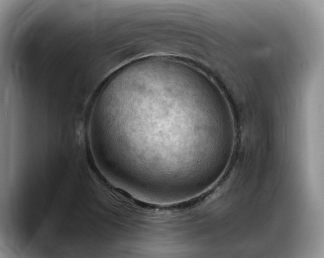 X0000088491505200705291637