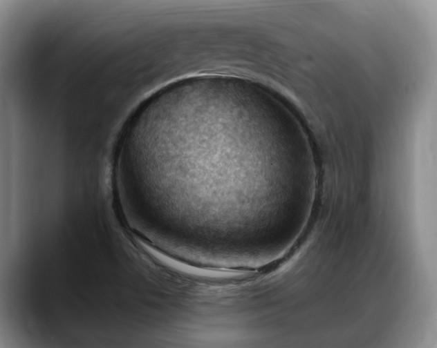 X0000088491506200705291637