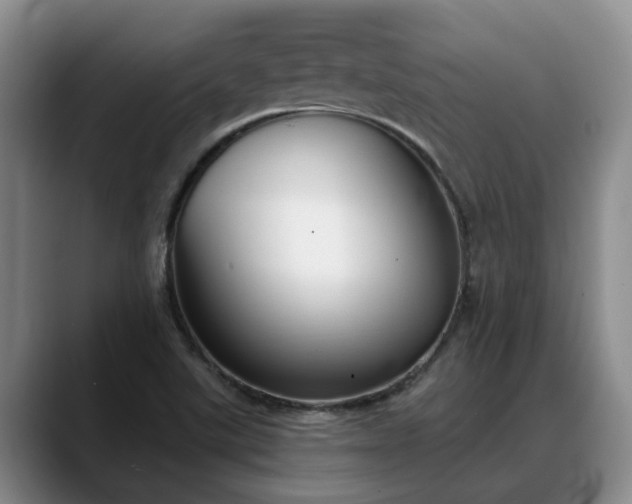 X0000088491507200705291637