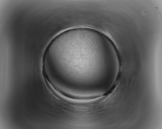 X0000088491508200705291637