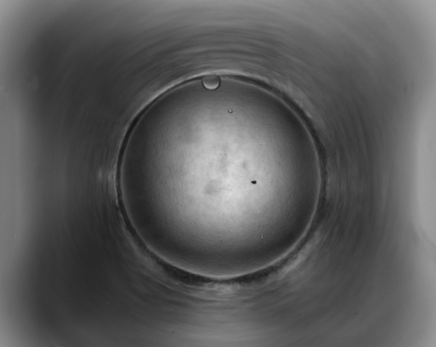 X0000088491513200705291637
