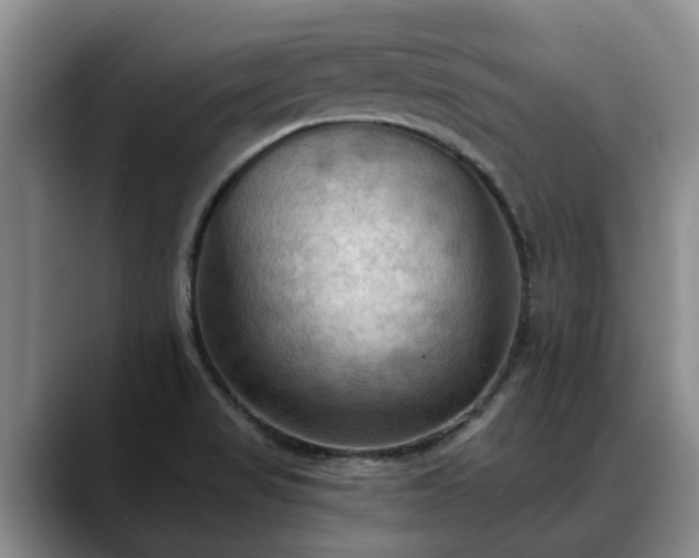 X0000088491517200705291637