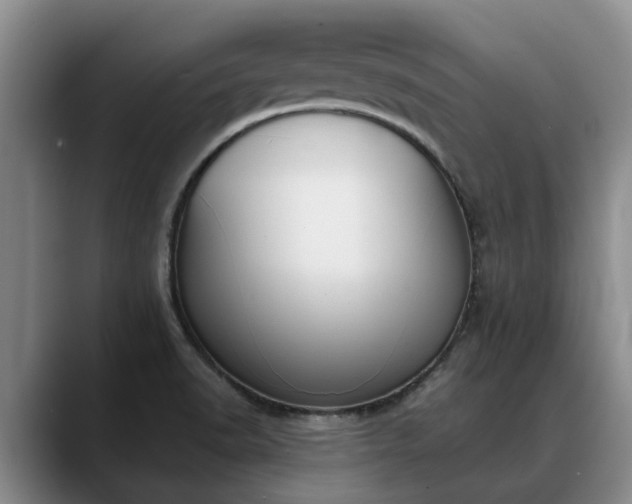 X0000088491518200705291637