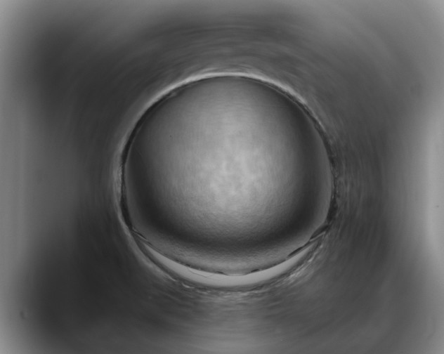 X0000088491519200705291637