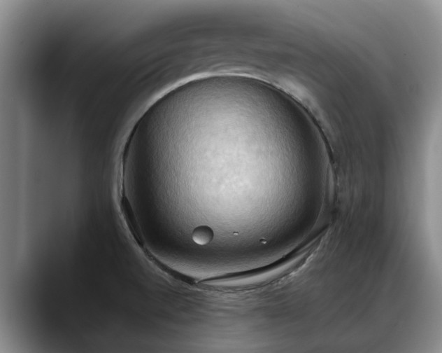 X0000088491520200705291637