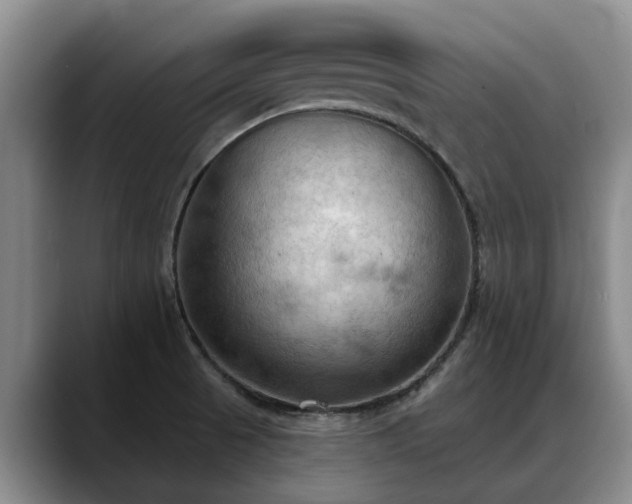 X0000088491521200705291637