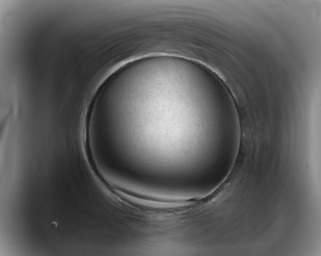 X0000088491523200705291637