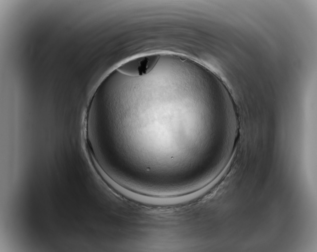 X0000088491524200705291637
