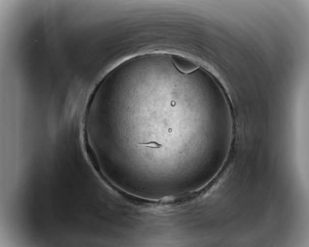 X0000088491525200705291637