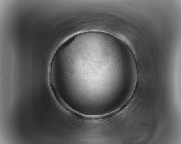 X0000088491528200705291637