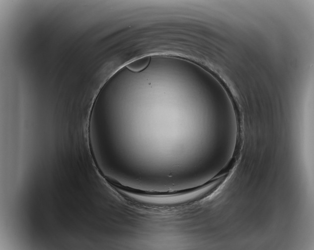 X0000088491529200705291637