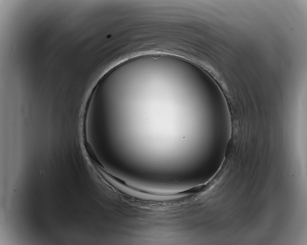X0000088491530200705291637