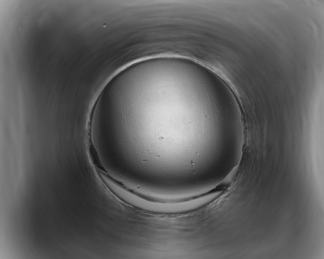 X0000088491532200705291637