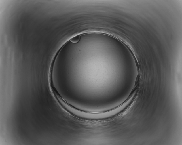 X0000088491533200705291637