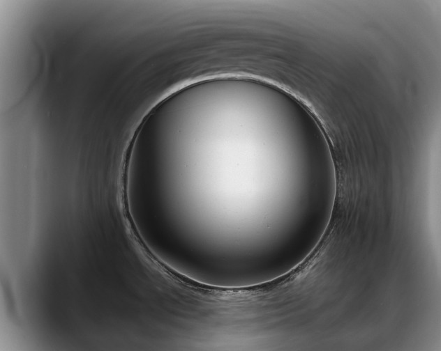X0000088491534200705291637