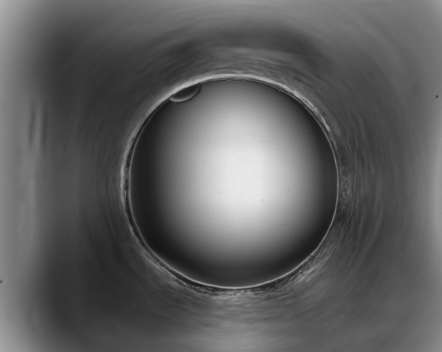 X0000088491535200705291637