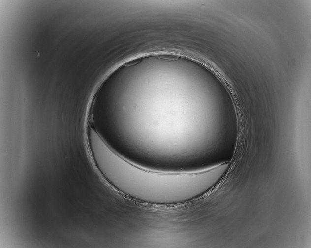 X0000088491536200705291637
