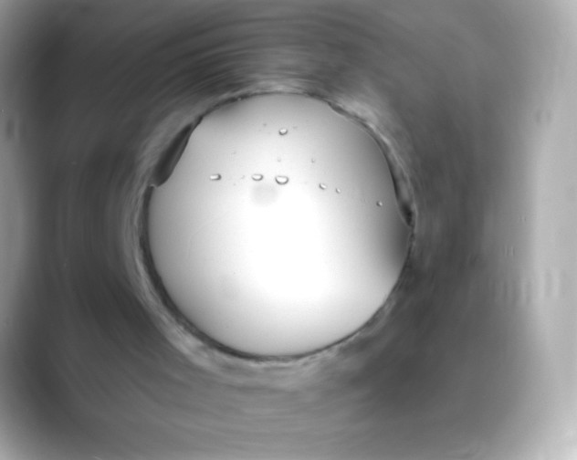 X0000088490001200706051426