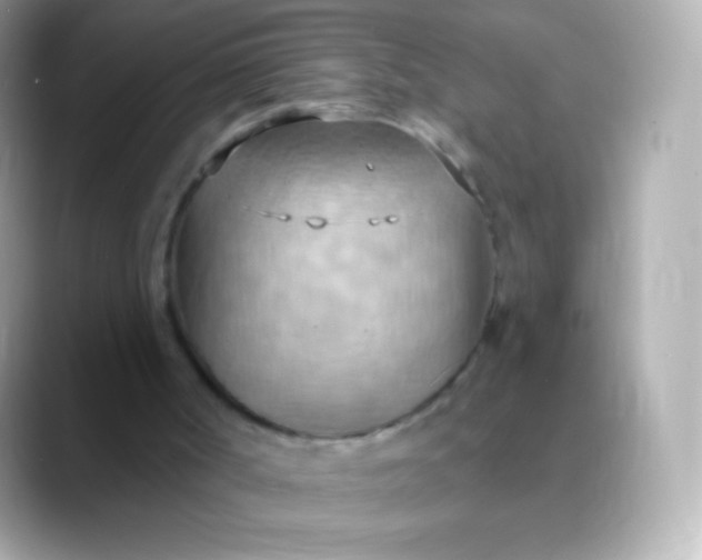 X0000088490002200706051426