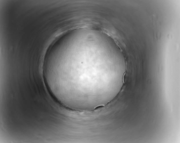 X0000088490003200706051426