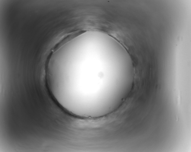 X0000088490005200706051426