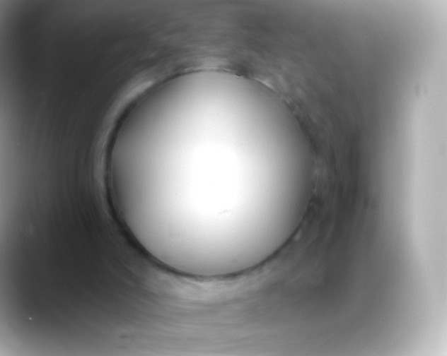 X0000088490006200706051426