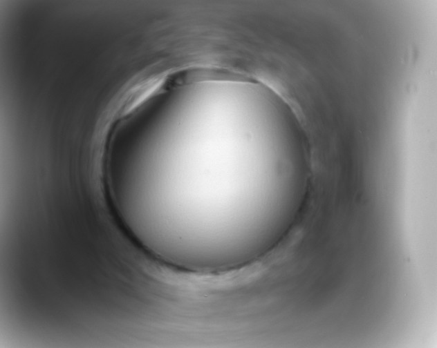 X0000088490007200706051426