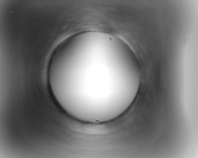 X0000088490008200706051426