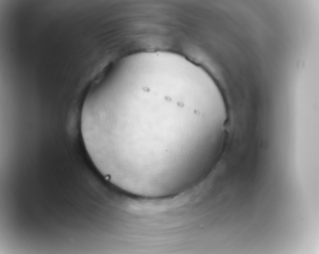 X0000088490009200706051426